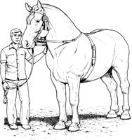 HOW029A.TIF