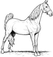 HOW028A.TIF