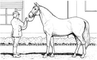 HOW023A.TIF