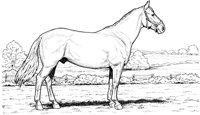 HOW022A.TIF