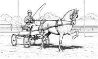 HOW018A.TIF