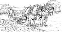 HOW017A.TIF