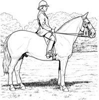 HOW014A.TIF