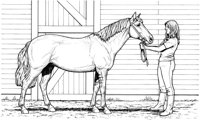 HOW013A.TIF
