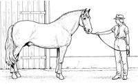 HOW012A.TIF