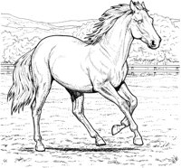 HOW009A.TIF