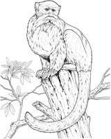MKA038A.TIF