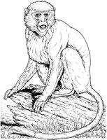 MKA023A.TIF