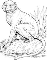 MKA013A.TIF