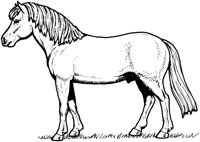 MHR011C.TIF