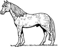 MHR011A.TIF