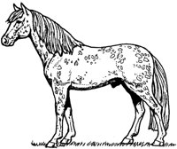 MHR000A.TIF