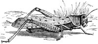 OAN031R.TIF