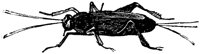 OAN031Q.TIF