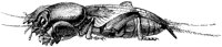 OAN031N.TIF