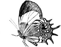 OAN030R.TIF