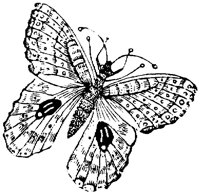 OAN030N.TIF