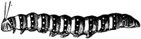 OAN030E.TIF