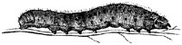 OAN030D.TIF