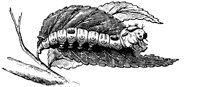OAN030C.TIF