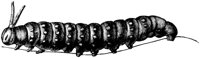 OAN030A.TIF