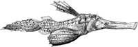 OAN028E.TIF