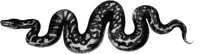 OAN026C.TIF