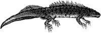 OAN024H.TIF