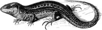 OAN024E.TIF