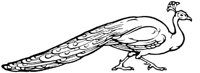 OAN021C.TIF