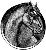 OAN017J.TIF