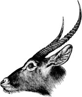 OAN015D.TIF