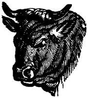 OAN013F.TIF