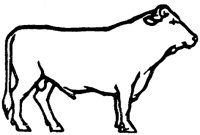 OAN013A.TIF