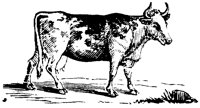 OAN012R.TIF