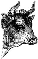 OAN012A.TIF