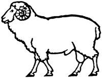 OAN011Q.TIF