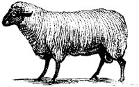 OAN011D.TIF