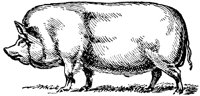 OAN010J.TIF