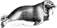 OAN009G.TIF