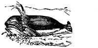 OAN009A.TIF