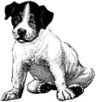 OAN007H.TIF