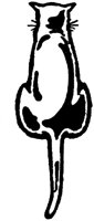 OAN007F.TIF