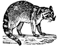 OAN004F.TIF