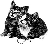 CAT032M.TIF