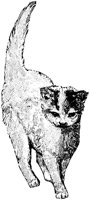 CAT032L.TIF