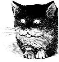 CAT032J.TIF