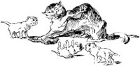 CAT032H.TIF