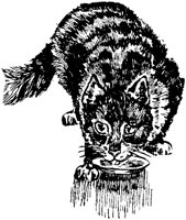 CAT032E.TIF