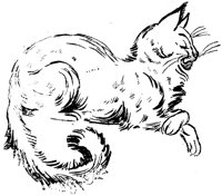 CAT032D.TIF